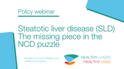 webinar