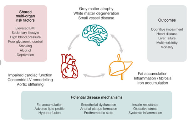 Potential disease mechanisms