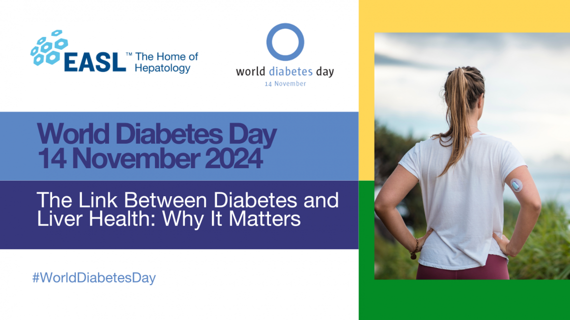 WDD2024